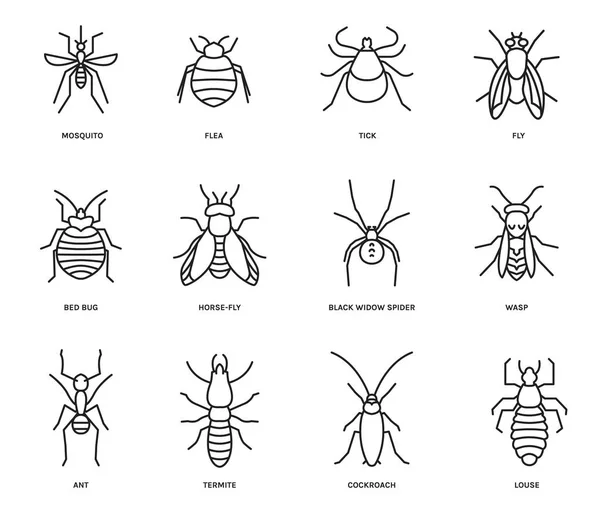 Insekter ikoner inställda. Isolerad redigerbar vektor illustration — Stock vektor