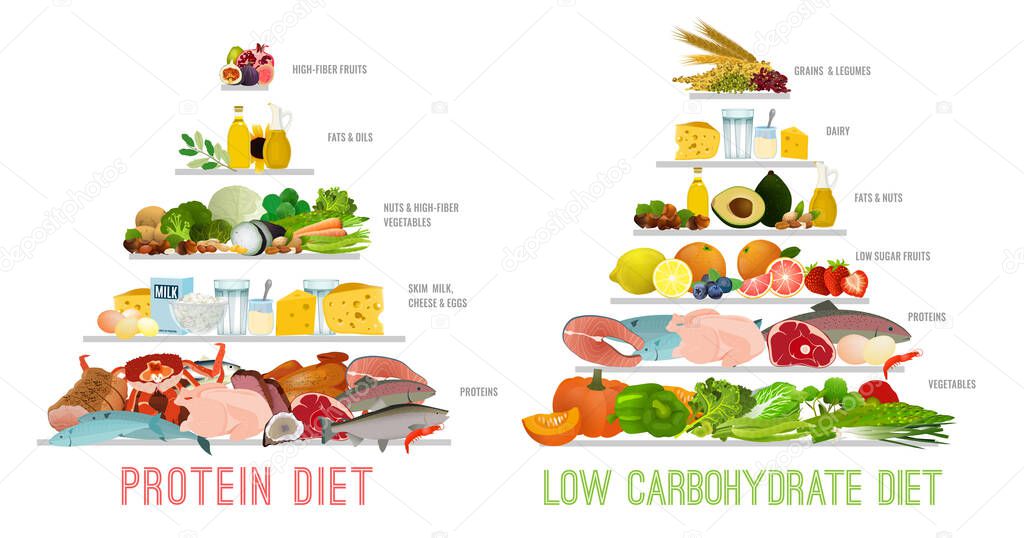 Protein Low Carb Diet. Isolated vector illustration