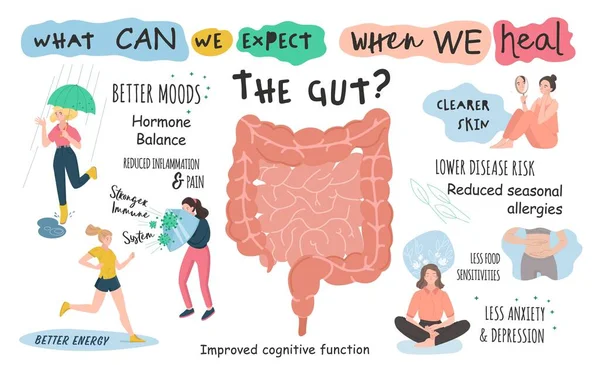 Cosa possiamo aspettarci quando guariremo l'intestino — Vettoriale Stock