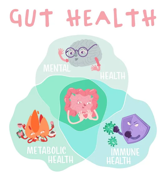 Por qué la salud intestinal importa. Cartel vertical. Infografía médica. — Vector de stock