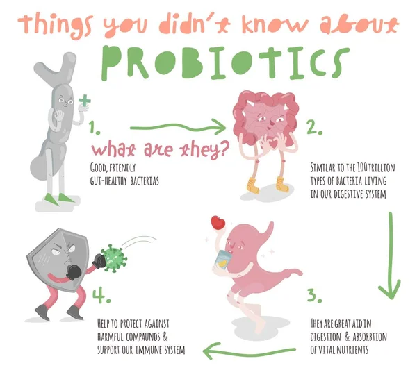 Vorteile von Probiotika. Landschaftsposter. Medizinische Infografik. — Stockvektor
