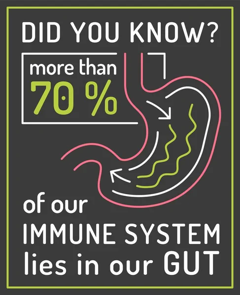 免疫系の70%以上が腸内にあります. — ストックベクタ