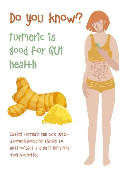 Beneficios de la cúrcuma. Los mejores alimentos para la salud intestinal. — Archivo Imágenes Vectoriales