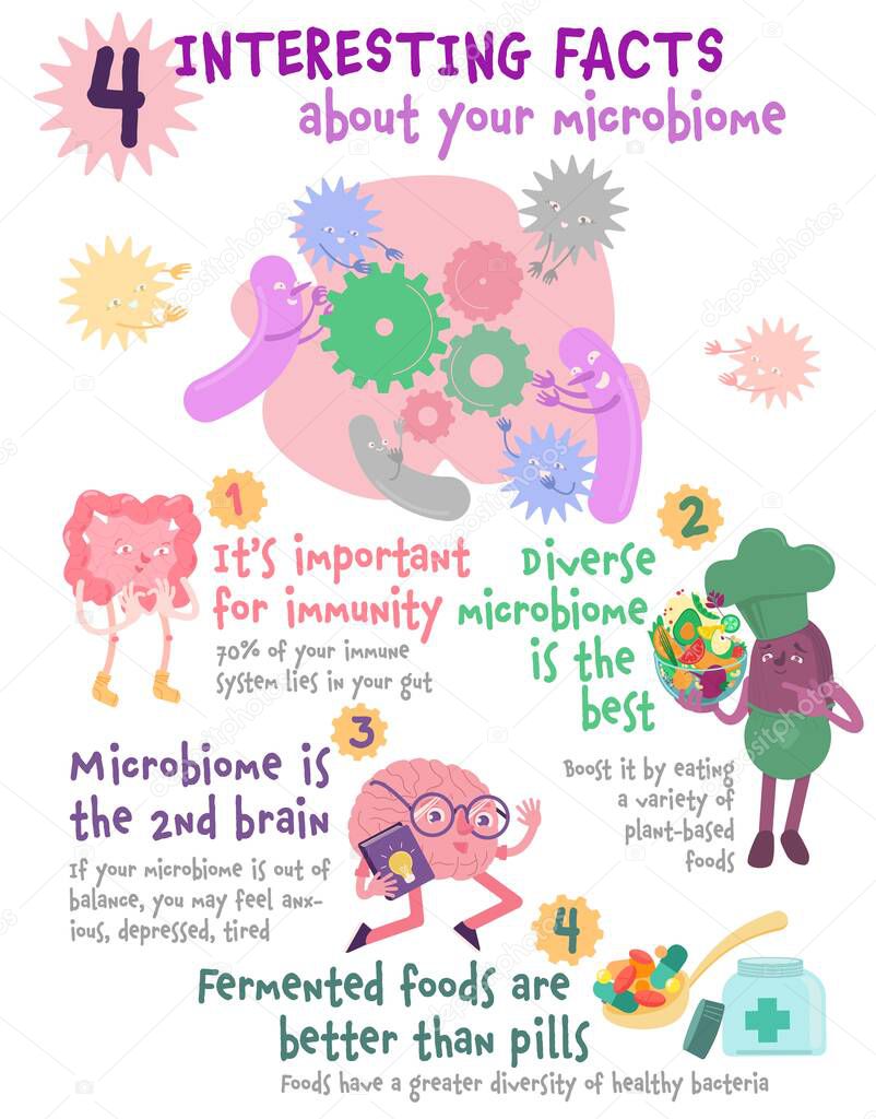 Interesting facts about your microbiome. Useful medical infographic with characters.