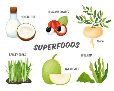 Superfood seti, detoks ürününün vektör çizimi. Sağlıklı süper yiyecekler, refah ve zayıflama için beslenme takviyesi