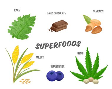 Superfood seti, vektör çizimi. Sağlıklı besleyici ürünler, reklam için beyaza izole edilmiş tasarım elementleri.