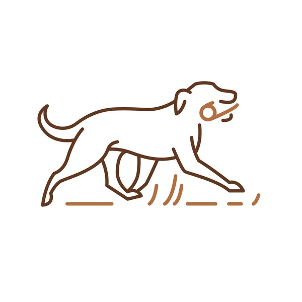 Icono de perro corriendo, símbolo de mascotas, recuperador jugando con palo. Ilustración del vector del esquema para la identidad del logotipo — Archivo Imágenes Vectoriales