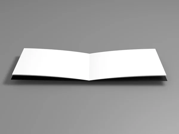 Blank leaflet — Stock Photo, Image