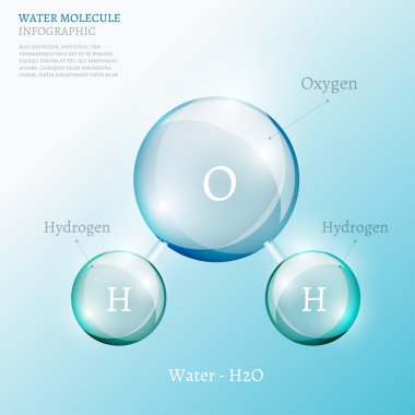 06 Infographics Bio kabarcık