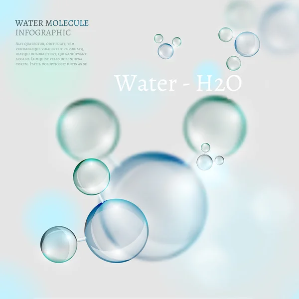 06 Infographies Bio Bubble — Image vectorielle