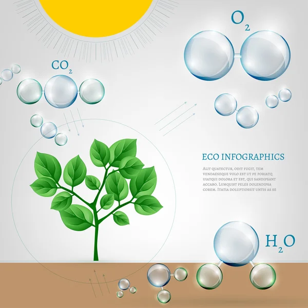 Bio infografis - Stok Vektor