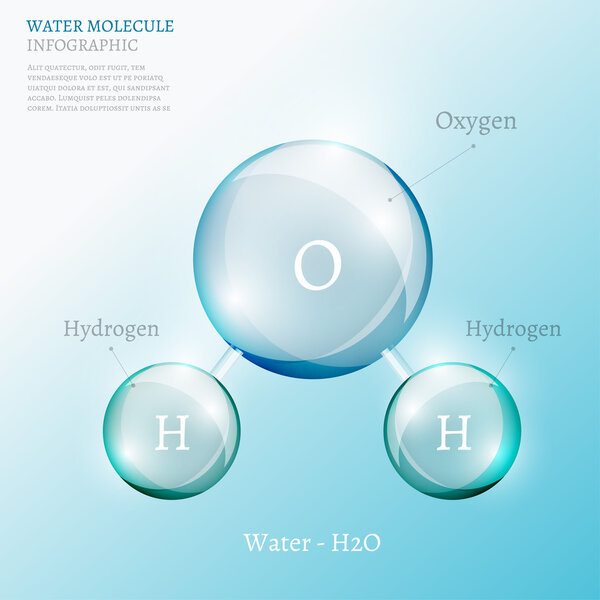 06 Infographics Bio Bubble
