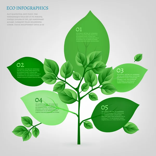 05 Infografik Biobaum — Stockvektor