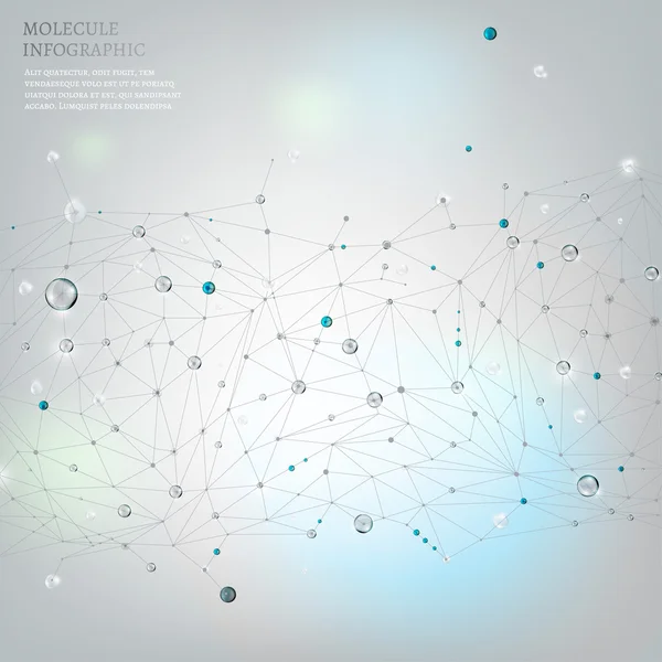 13 Molecule infographic — Stock Vector