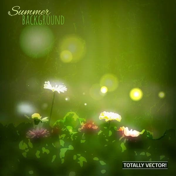 04 Sommer Gras Hintergrund — Stockvektor