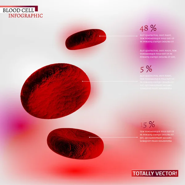 Blood Cell infographic — Stock Vector