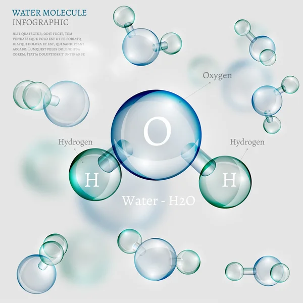 Water molecule — Stock Vector