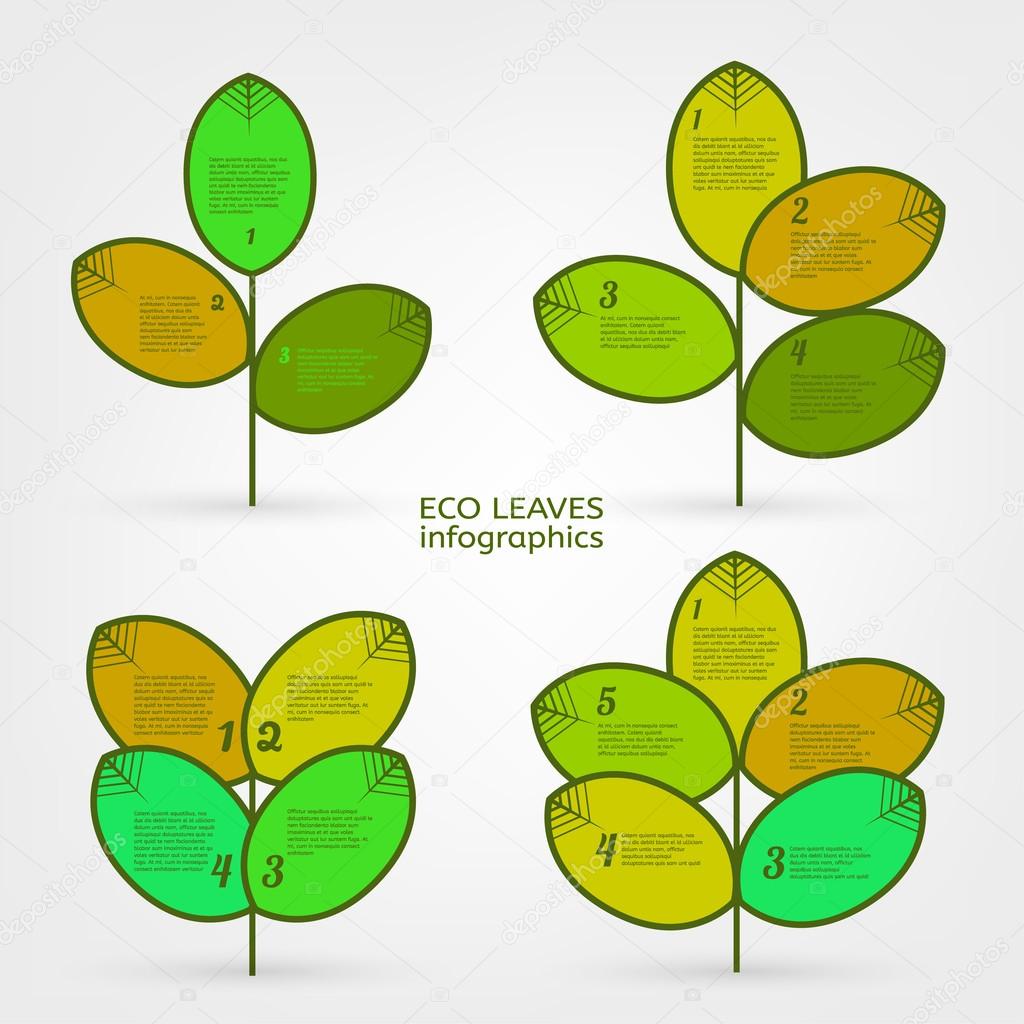 Leaves infographic