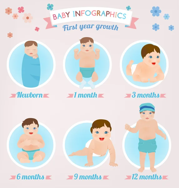 Baby infographic — Stock Vector