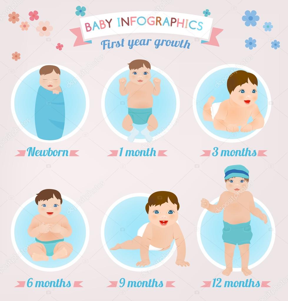 Baby infographic