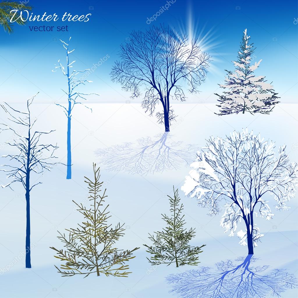 Winter trees set