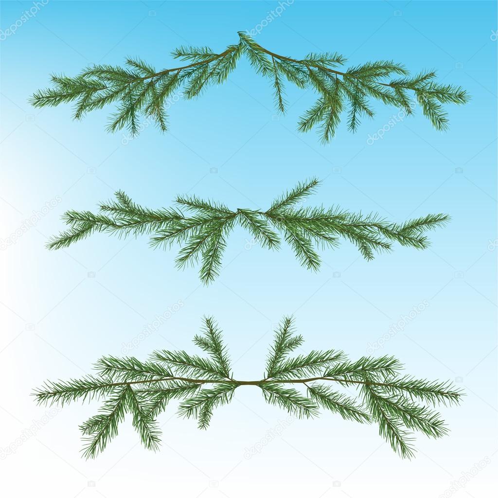 Christmas tree branch