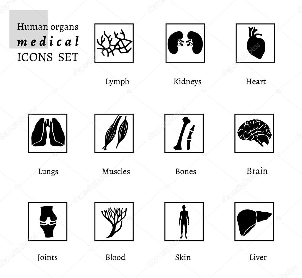 Organs icons
