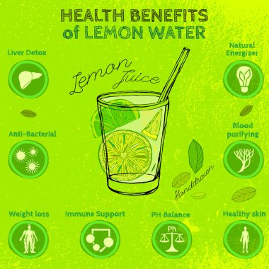 Handdrawn limon Infographic