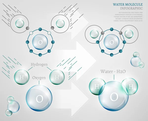 Molécula de agua — Archivo Imágenes Vectoriales