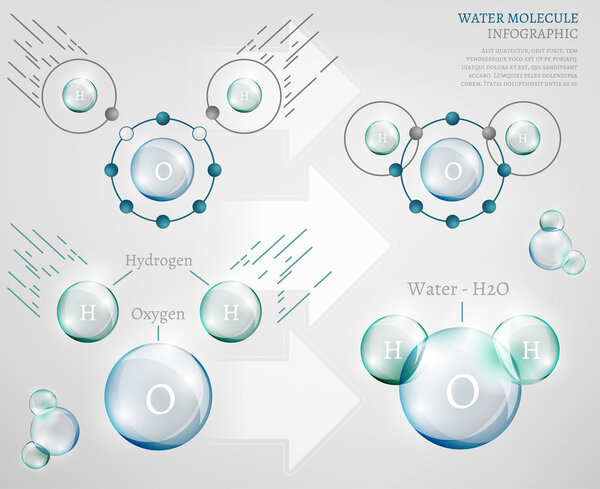 Water molecule