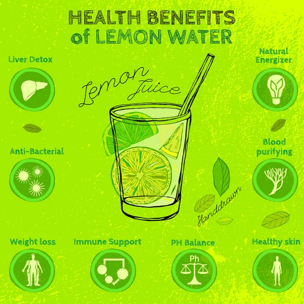 Handdrawn Lemon Infographic — Stock Vector