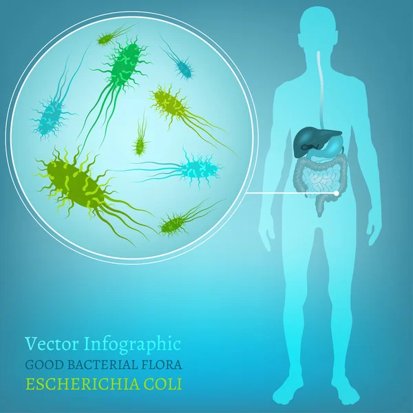 Vector bacteriën Flora — Stockvector