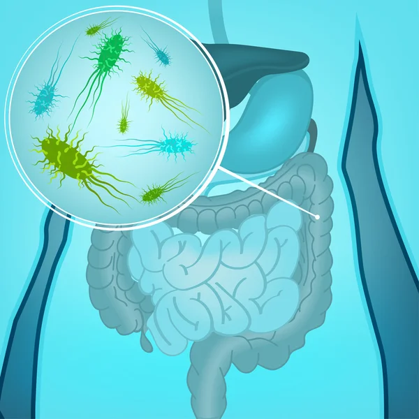 Flora de bacterias vectoriales — Vector de stock