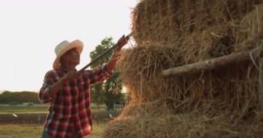 Yavaş hareket eden Asyalı bir çiftçinin kırsal kesimdeki siluet sahnesi, güneş ışığı içinden geçerken inekleri için saman balyasını çekmek için tırmık kullanıyor..
