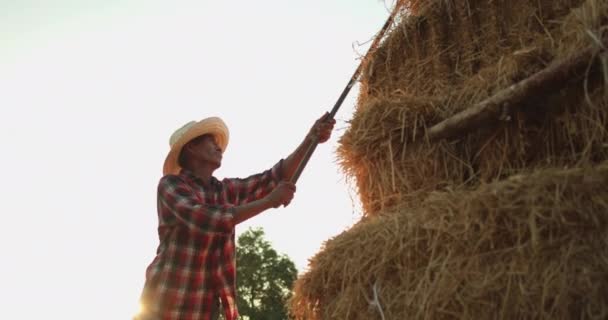 Αργή Κίνηση Σιλουέτα Σκηνή Ενός Αρσενικού Ασιάτη Αγρότη Στην Ύπαιθρο — Αρχείο Βίντεο