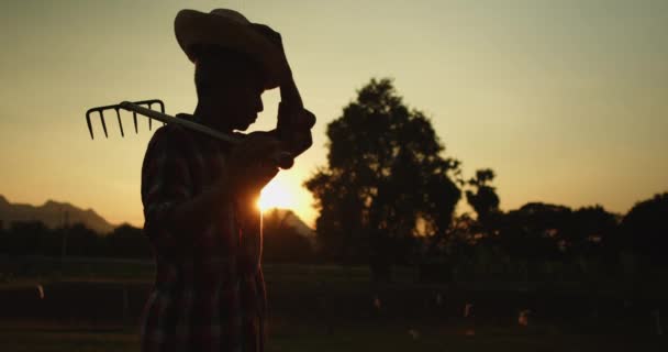 Медленное Движение Силуэта Сцены Сельских Азиатских Фермеров Стоит Держа Грабли — стоковое видео