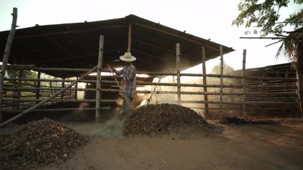 Scène Ralenti Agriculteur Asiatique Dans Une Zone Rurale Balaie Les — Video