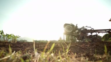 Ziraatın yavaş çekim sahnesi, küçük bir traktör kullanan bir Asyalı ya da çelik bufalo denilen köylüler toprağını sürerek ekimini hazırlıyorlar, güneşin ışığı içinden geçerken..