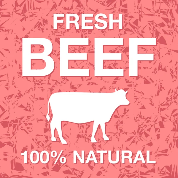 Carne fresca — Vector de stock