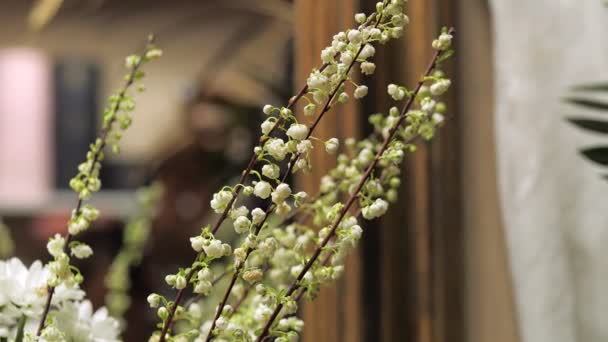 Small blossoms of Spirea. Branches of elegant flowers for bouquet decoration in a flower shop. — Stock Video