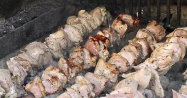Şiş üstünde çiğ et. Kömürün üstünde ızgarada kızartılmış şiş kebap. Şişte kızartılmış domuz eti..