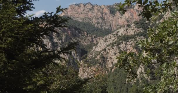 Uitzicht op een zonovergoten top van de berg door het gebladerte van de bomen. Natuur van Catalonië. — Stockvideo