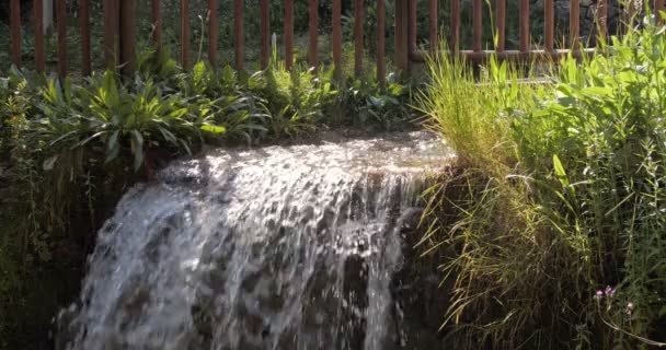 Corriente de agua fría de montaña fluye a través de la zona rural en un día soleado con vegetación fresca alrededor. — Vídeos de Stock