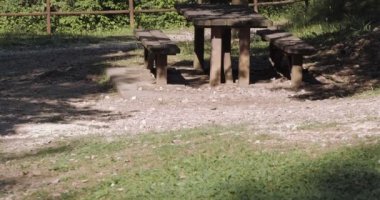 An empty wooden picnic table with benches in a park on sunny day.