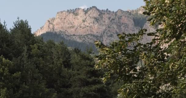 Zicht op een zonovergoten berg door het gebladerte van de bomen met blauwe lucht. De wind slingert langzaam de takken. — Stockvideo