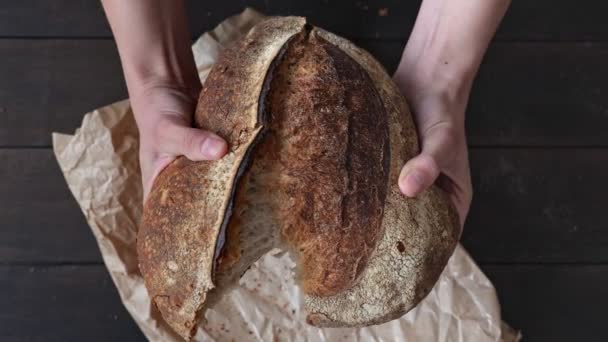 Les mains tiennent et cassent une grande miche appétissante de pain maison avec une croûte croustillante cuite au four. — Video