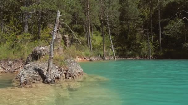 Rivage rocheux du lac d'émeraude avec de vieux arbres secs et la forêt autour. Vue depuis un bateau arrivant lentement à backwater — Video