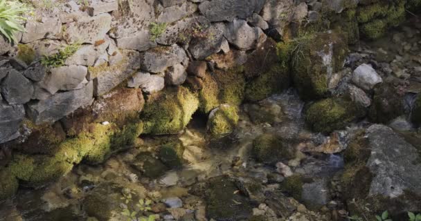 Eau claire de la rivière ou du ruisseau de montagne avec de vieilles pierres couvertes de mousse. Eau pétillante au soleil — Video