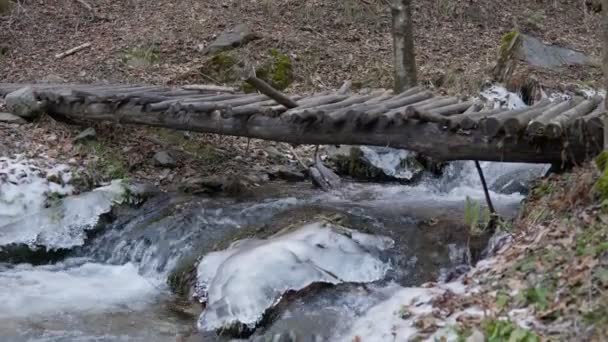 Antiguo puente de vigas de madera sobre un frío río de montaña en un bosque invernal de Cataluña — Vídeos de Stock