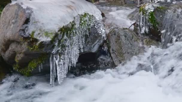 Primer plano del río de montaña que fluye. Piedras congeladas con carámbanos y musgo. — Vídeos de Stock